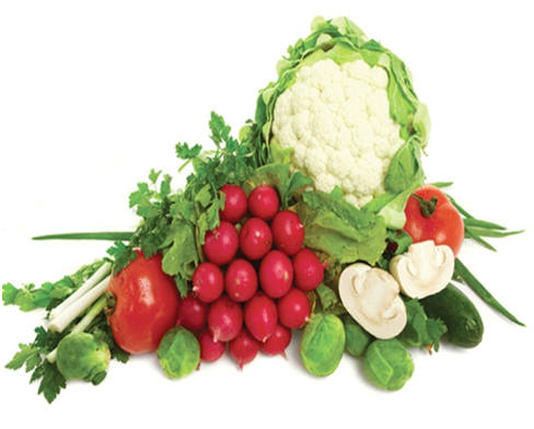 abonos-organicos-ecuador